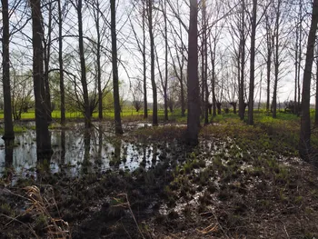 Kalkense Meersen (België)